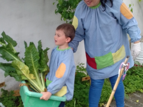 Fomos para a Horta colher todos os legumes